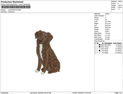 Labrador Brown Dog