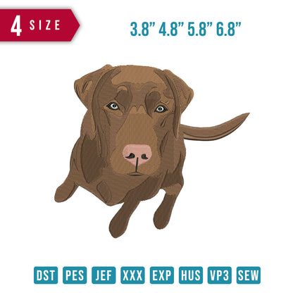 Labrador Retriever