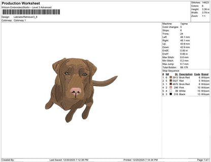 Labrador Retriever