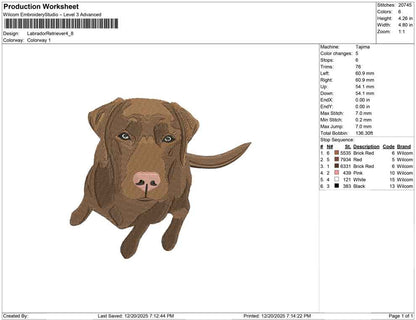 Labrador Retriever