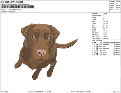 Labrador Retriever