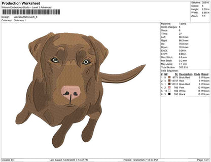 Labrador Retriever