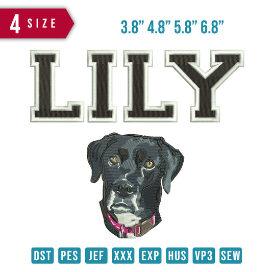 Lily dog