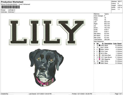 Lily dog