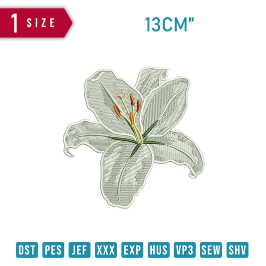 Lily Flower