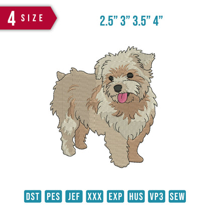 Maltese Dog