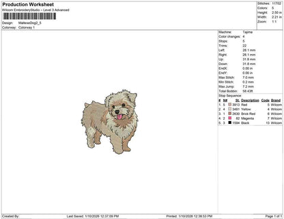 Maltese Dog