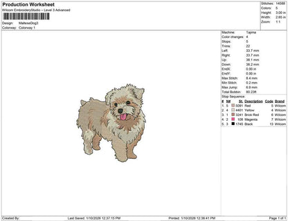 Maltese Dog