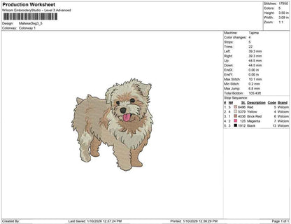 Maltese Dog