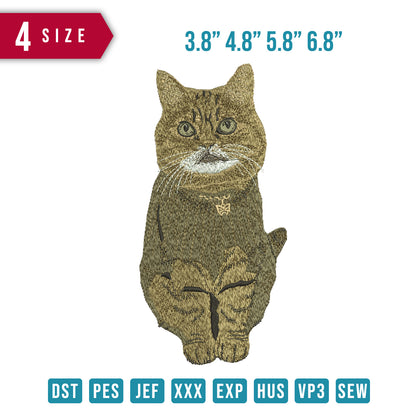 Meow Stunned