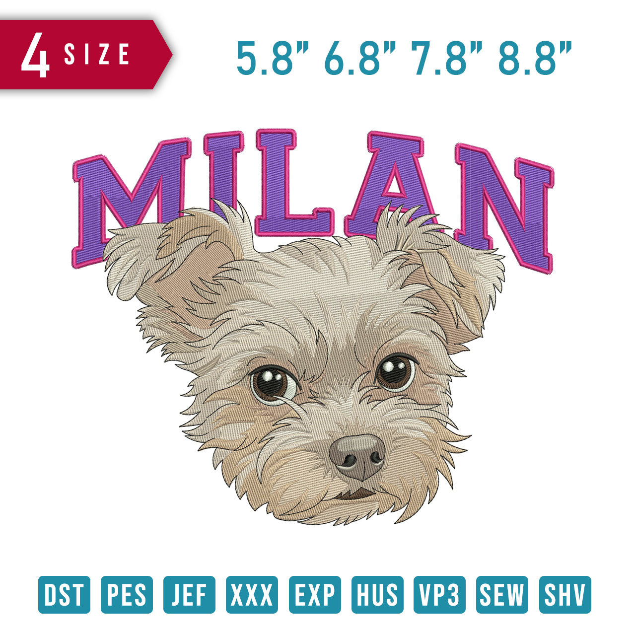 Milan Yorkshire Terrier