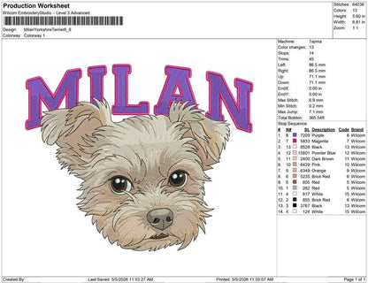Milan Yorkshire Terrier