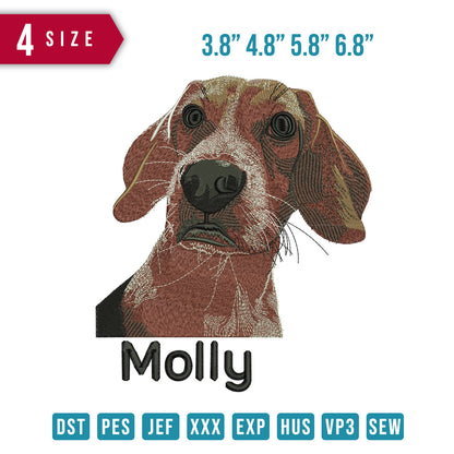 Mollly Dog