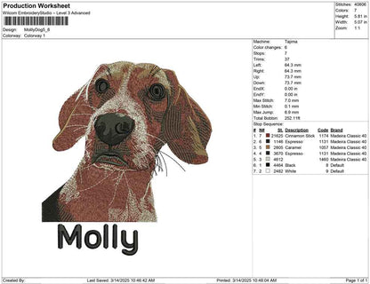 Mollly Dog