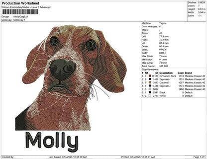 Mollly Dog