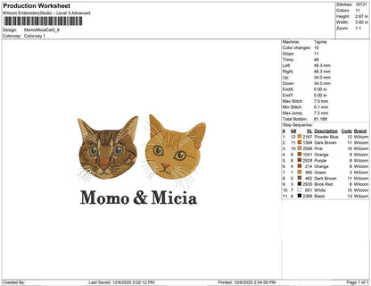 Momo Micia Cat