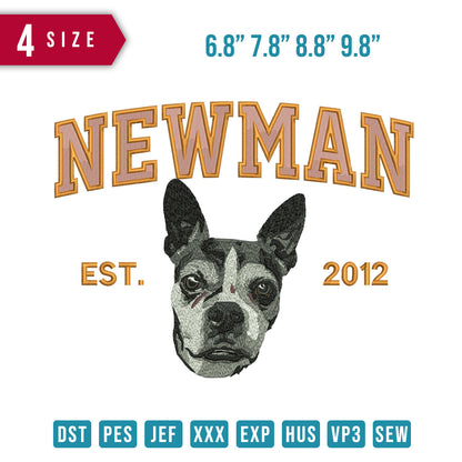 Newman Dog
