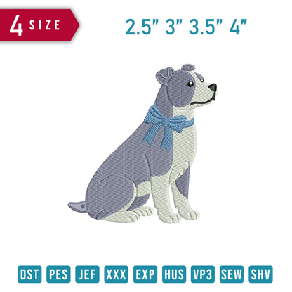 Pit Bull Dog B