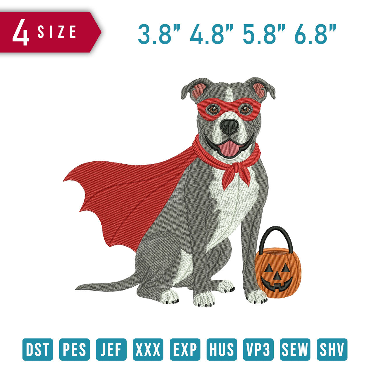 PitBull Dog Pumpkin B