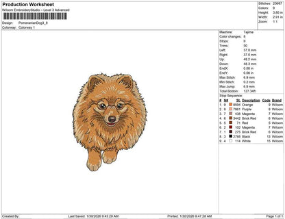 Pomeranian Dog