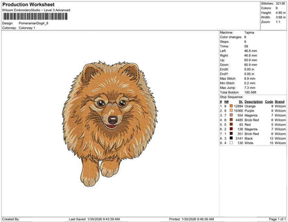 Pomeranian Dog