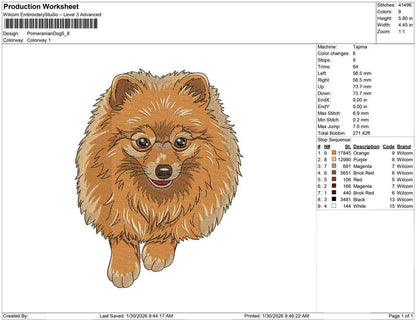 Pomeranian Dog
