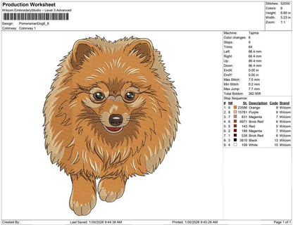 Pomeranian Dog
