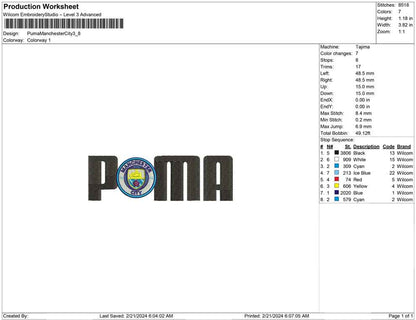 Puma Manchester City