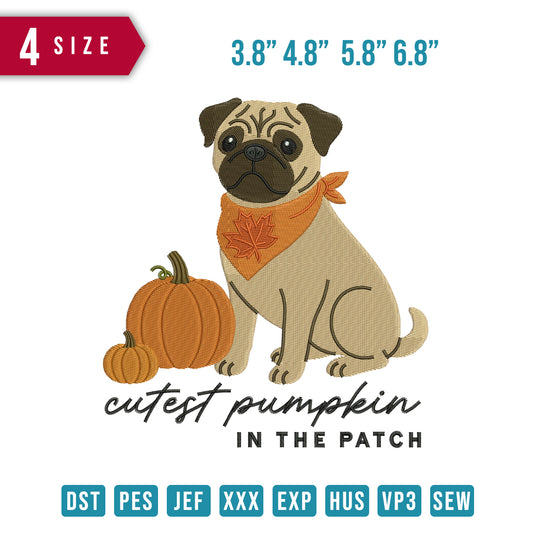 Pumpkins Pug