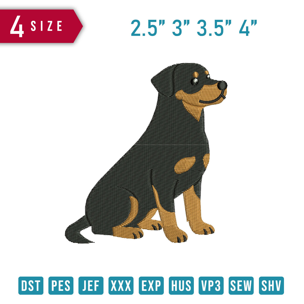 Rottweiler Dog B