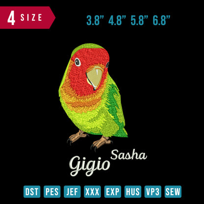 Love Bird Sasha