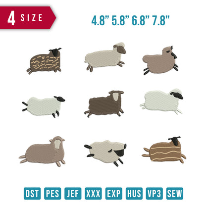 Sheep