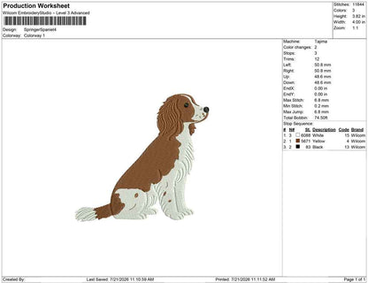 Springer Spaniel