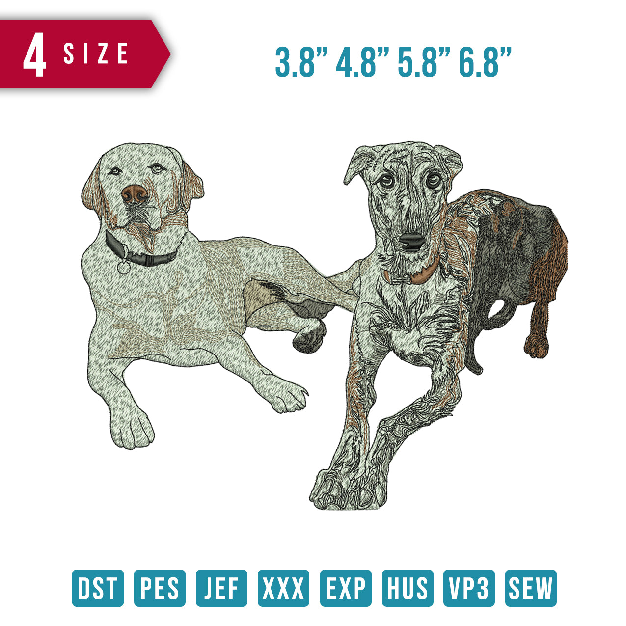 Two Dogs