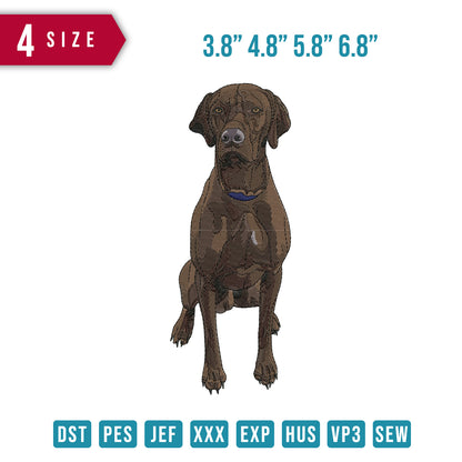 Vizsla Dog