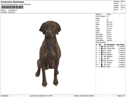 Vizsla Dog