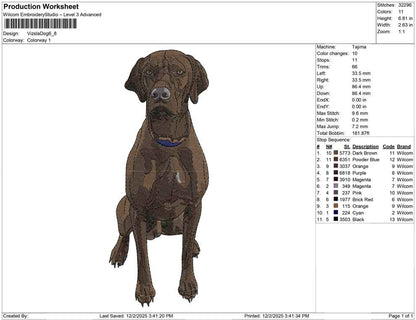 Vizsla Dog