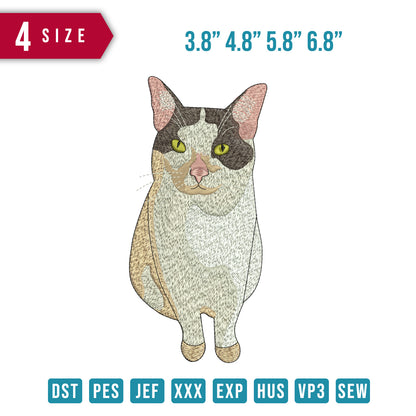 Young Cat