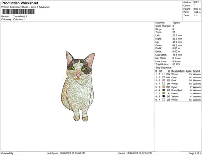 Young Cat