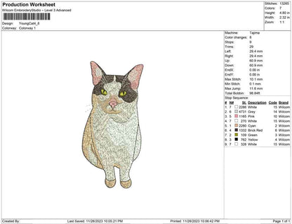 Young Cat