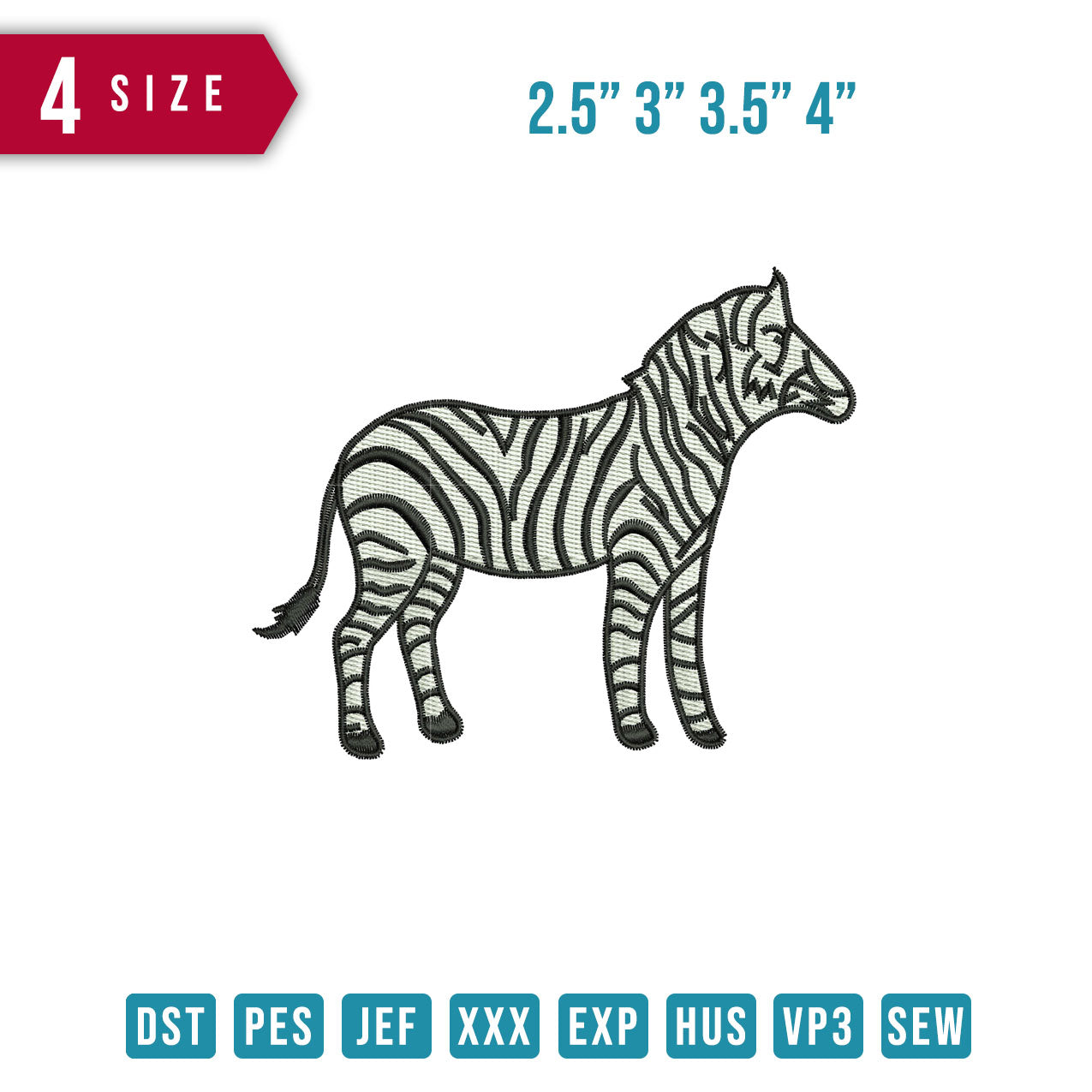 Zebra B