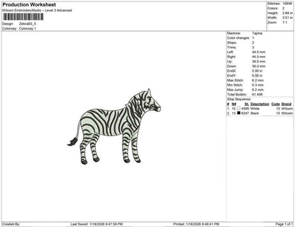 Zebra B
