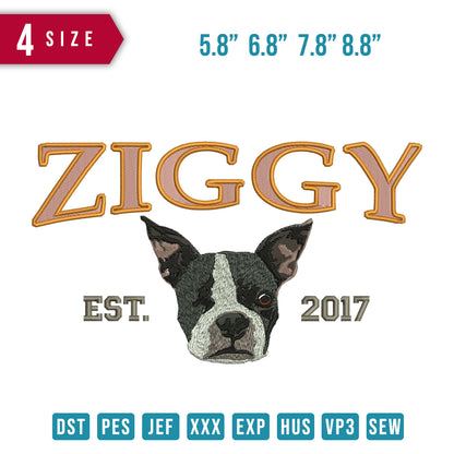 Ziggy Dog