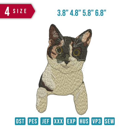 Meow Funny