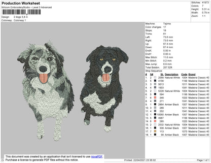 2 Dogs