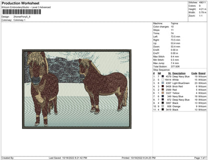 2 Horse Pony
