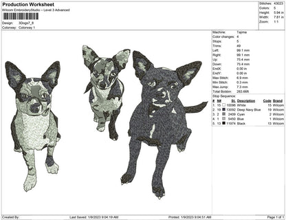 3 dogs