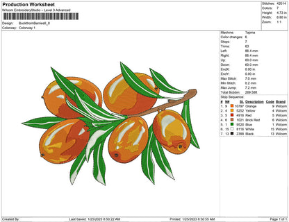 Buckthorn Berries