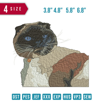 Cat bull