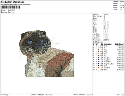 Cat bull